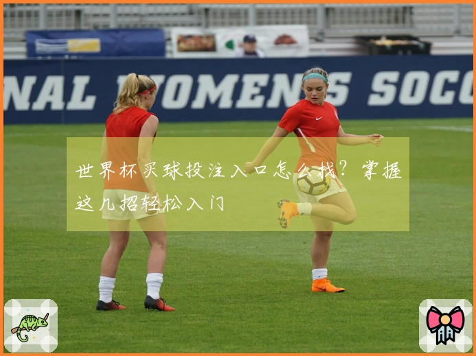世界杯买球投注入口怎么找？掌握这几招轻松入门