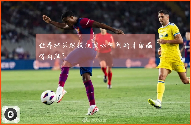 世界杯买球投注该如何判断才能赢得利润？