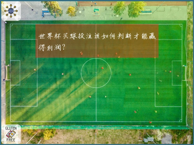 世界杯买球投注该如何判断才能赢得利润？