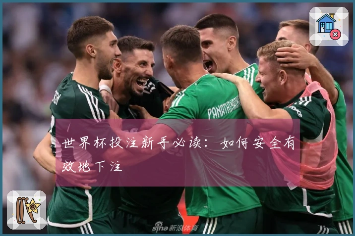 世界杯投注新手必读：如何安全有效地下注
