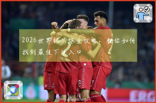 2026世界杯买球全攻略，教你如何找到最佳下注入口