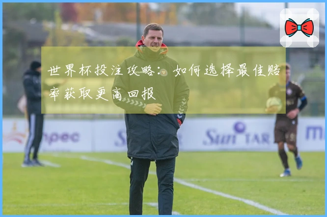 世界杯投注攻略：如何选择最佳赔率获取更高回报