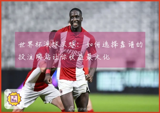 世界杯滚球买球：如何选择靠谱的投注网站让你收益最大化