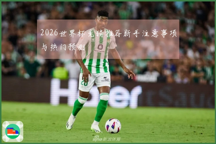 2026世界杯竞猜推荐新手注意事项与热门预测