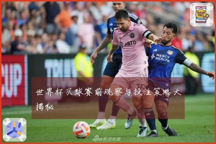 世界杯买球赛前观察与投注策略大揭秘
