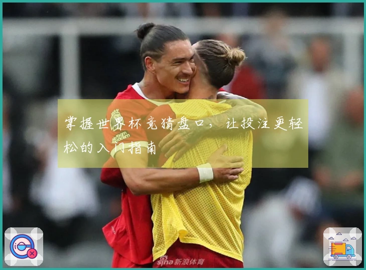 掌握世界杯竞猜盘口，让投注更轻松的入门指南