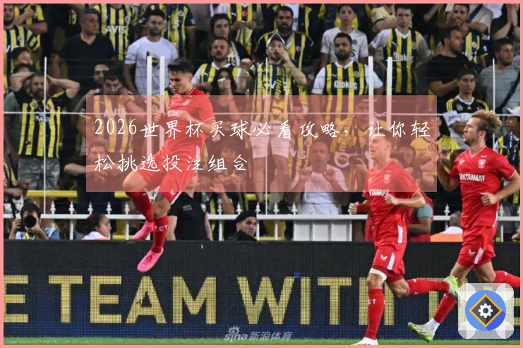 2026世界杯买球必看攻略，让你轻松挑选投注组合