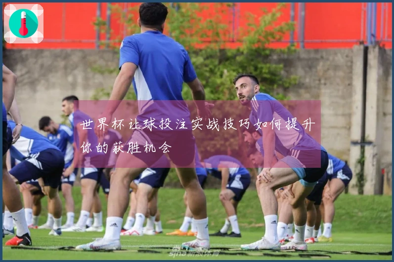 世界杯让球投注实战技巧如何提升你的获胜机会