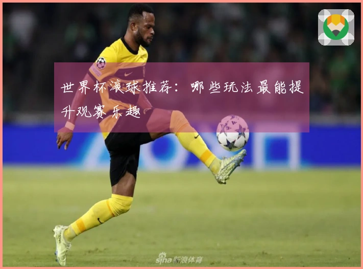 世界杯滚球推荐：哪些玩法最能提升观赛乐趣
