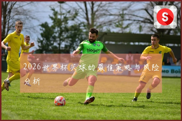 2026世界杯买球的最佳策略与风险分析