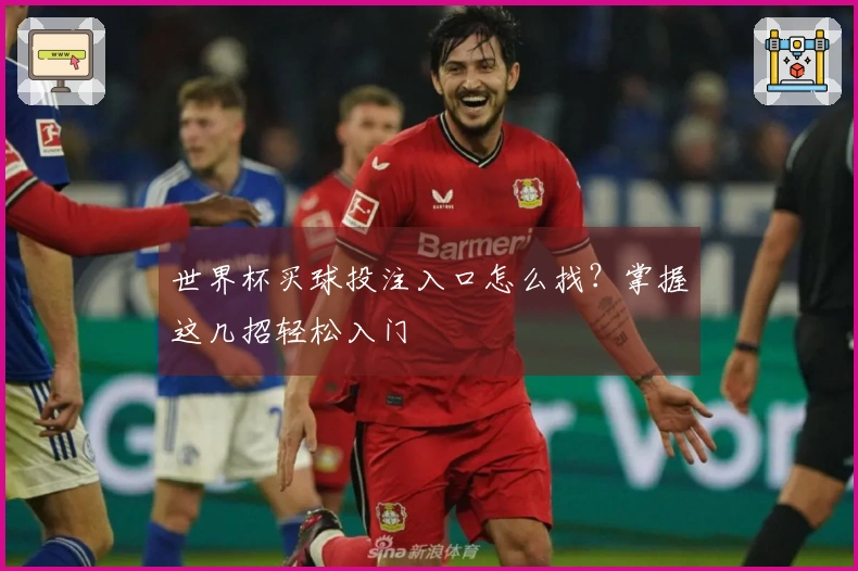 世界杯买球投注入口怎么找？掌握这几招轻松入门