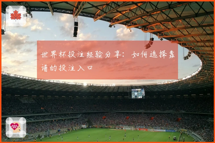 世界杯投注经验分享：如何选择靠谱的投注入口